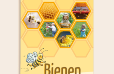 Bienen -​ Superhelden der Natur  – Kiga-Fachverlag